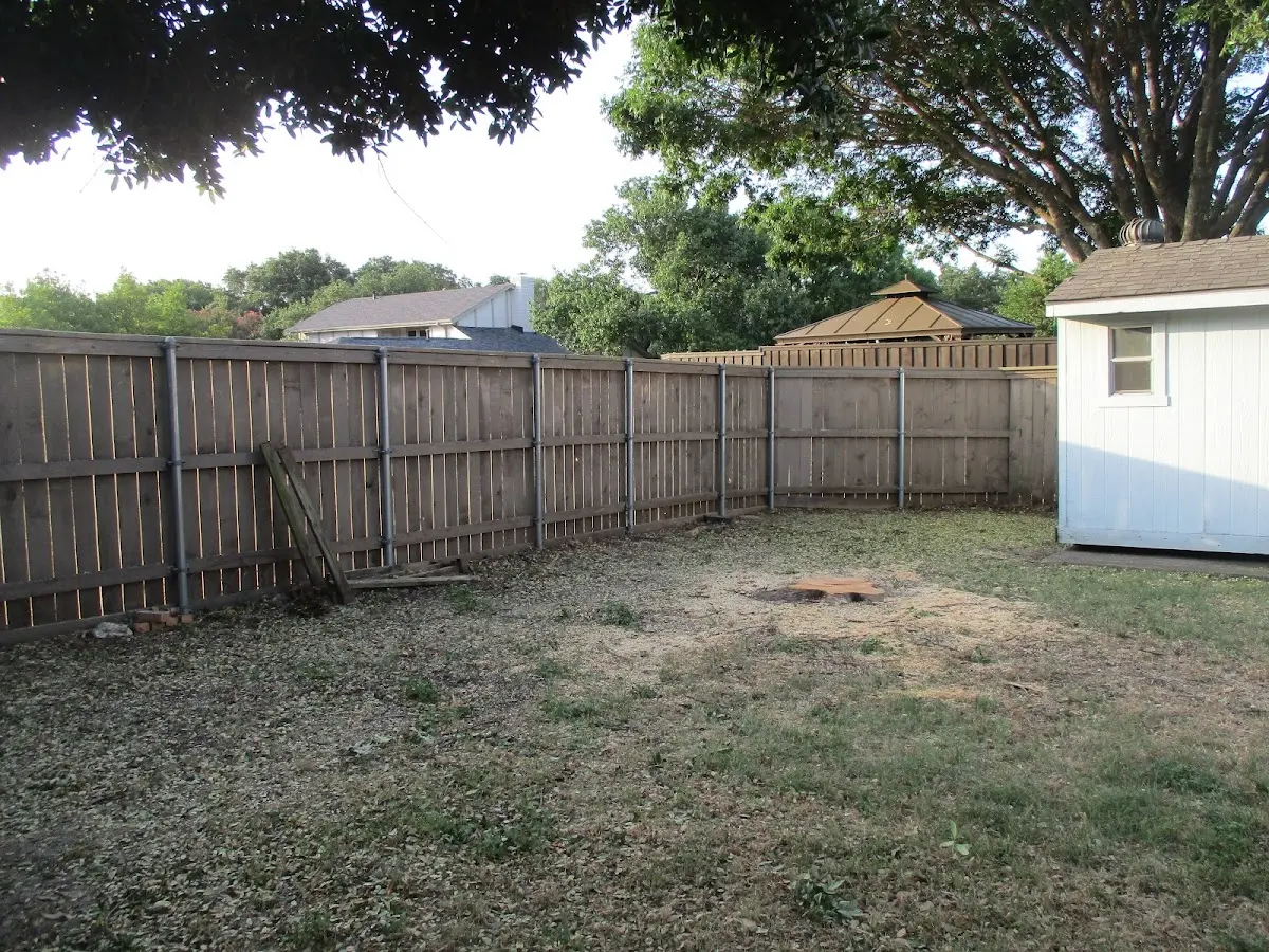 Cleared yard after professional tree removal in Prospect